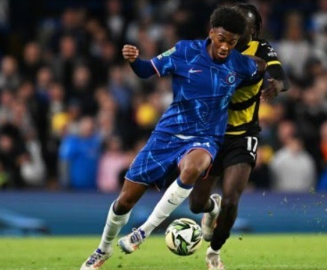 历提供了一 历提供了一